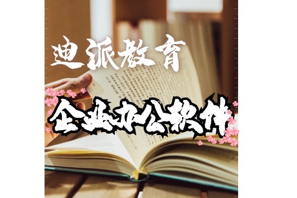 学电脑办公软件word打字平面设计装潢设计来迪派